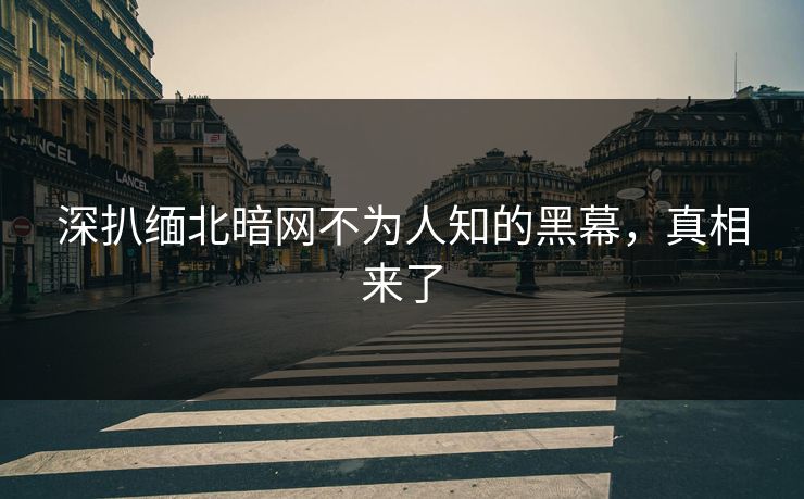 深扒缅北暗网不为人知的黑幕，真相来了