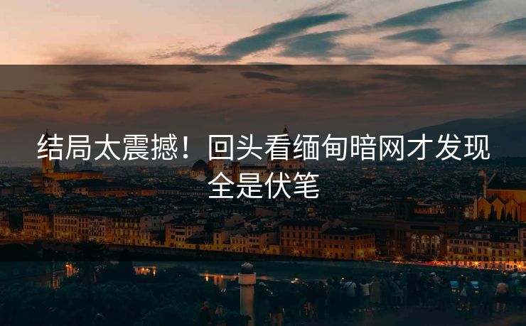 结局太震撼！回头看缅甸暗网才发现全是伏笔