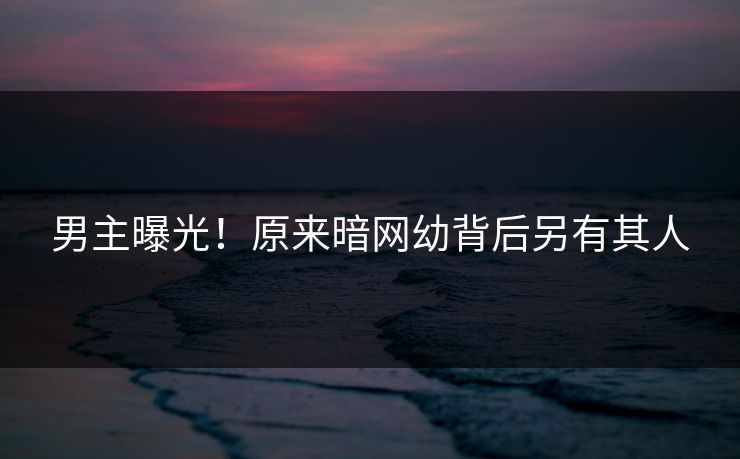 男主曝光！原来暗网幼背后另有其人