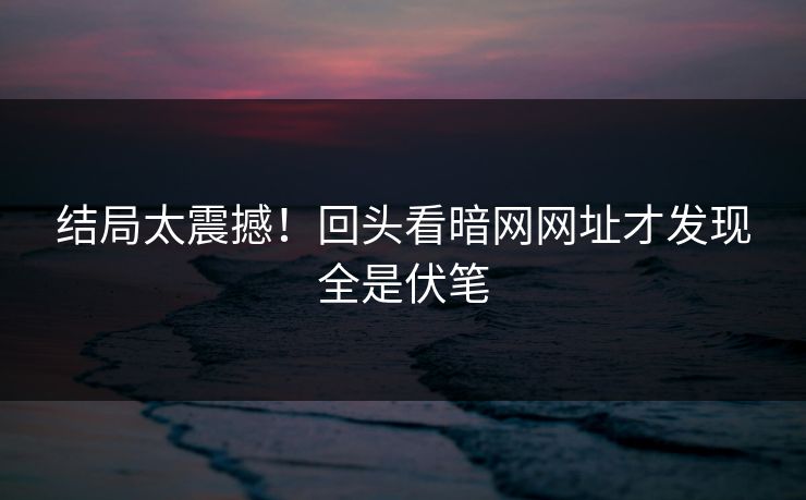 结局太震撼！回头看暗网网址才发现全是伏笔