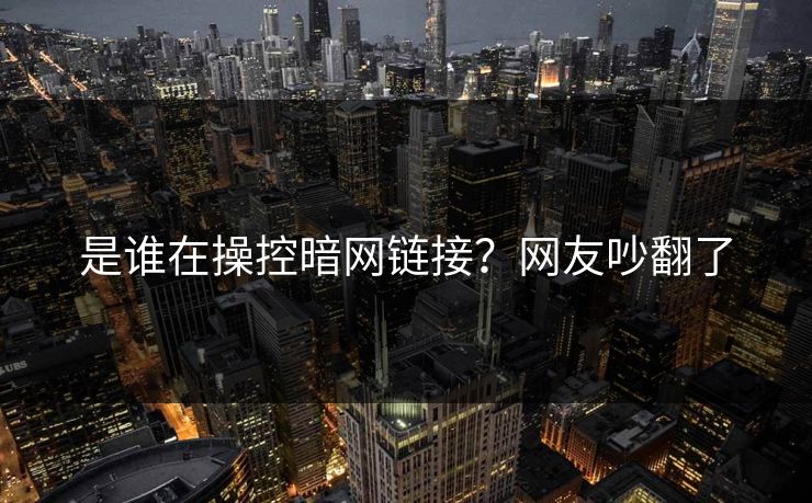 是谁在操控暗网链接？网友吵翻了