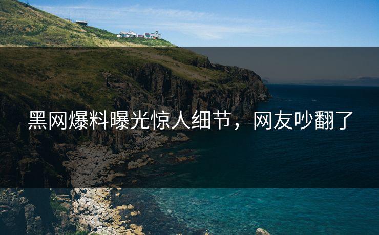 黑网爆料曝光惊人细节，网友吵翻了