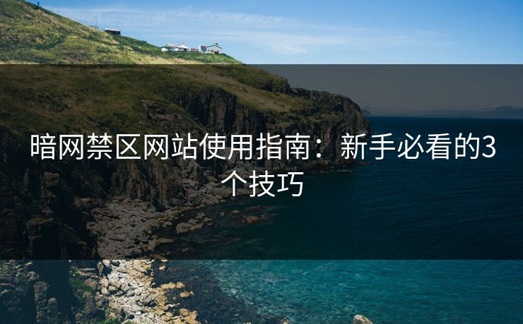 暗网禁区网站使用指南：新手必看的3个技巧