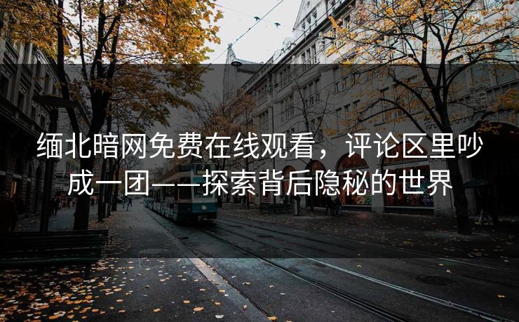 缅北暗网免费在线观看，评论区里吵成一团——探索背后隐秘的世界