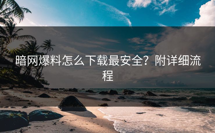 暗网爆料怎么下载最安全？附详细流程