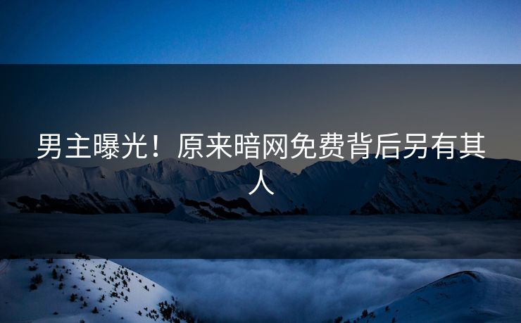 男主曝光！原来暗网免费背后另有其人