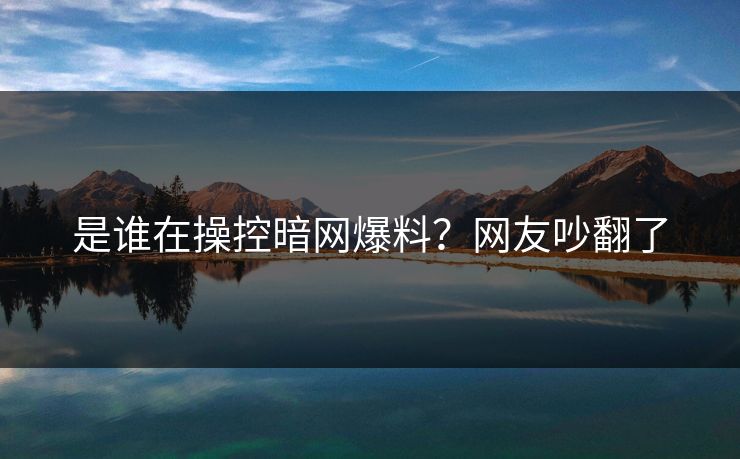是谁在操控暗网爆料？网友吵翻了
