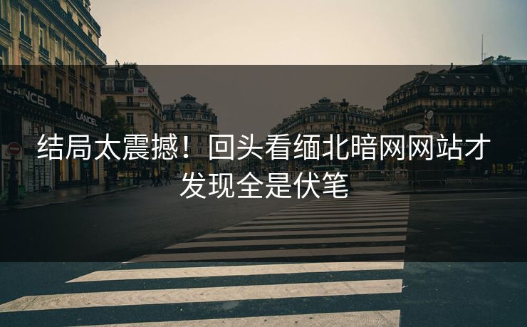 结局太震撼！回头看缅北暗网网站才发现全是伏笔