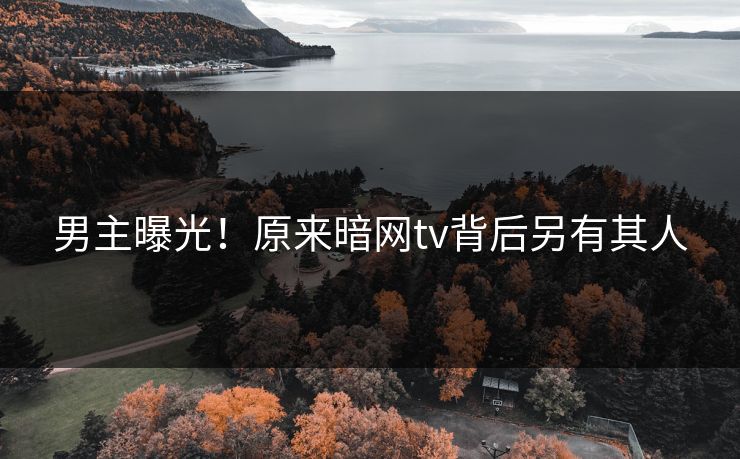 男主曝光！原来暗网tv背后另有其人