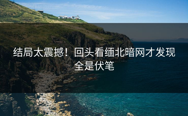结局太震撼！回头看缅北暗网才发现全是伏笔