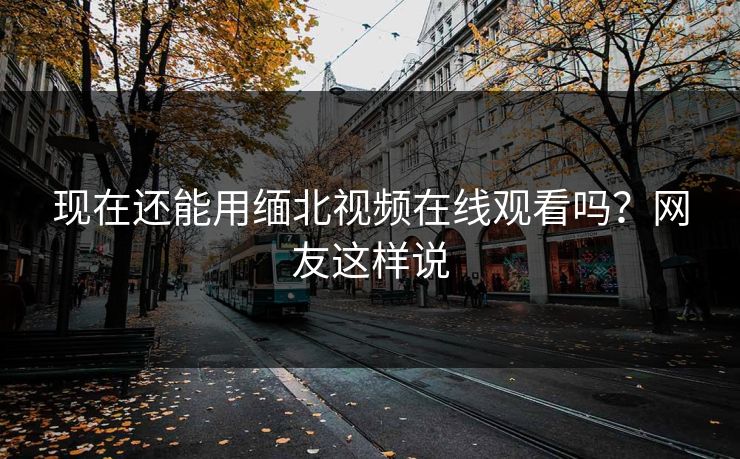 现在还能用缅北视频在线观看吗？网友这样说