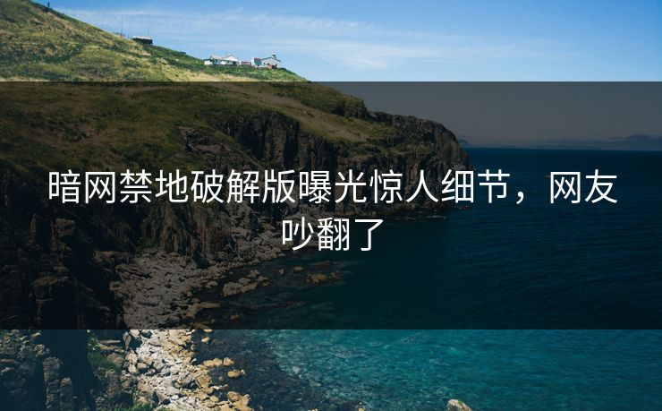 暗网禁地破解版曝光惊人细节，网友吵翻了