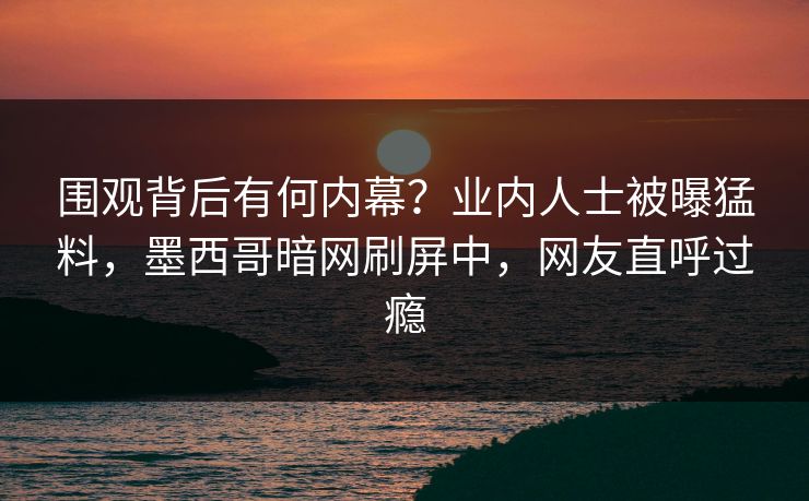 围观背后有何内幕？业内人士被曝猛料，墨西哥暗网刷屏中，网友直呼过瘾