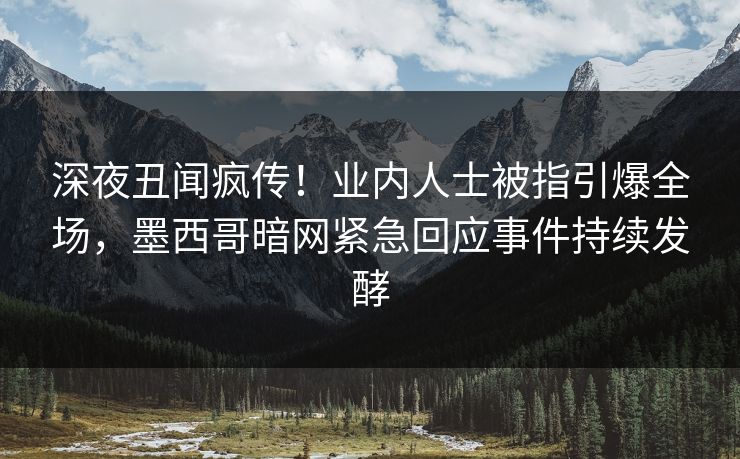 深夜丑闻疯传！业内人士被指引爆全场，墨西哥暗网紧急回应事件持续发酵