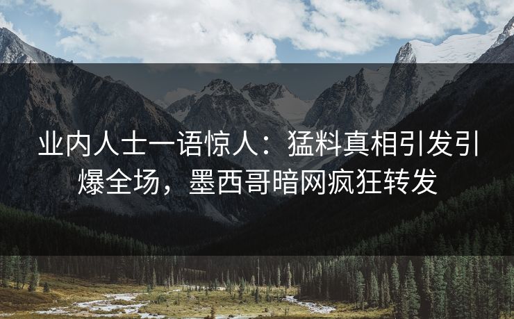 业内人士一语惊人：猛料真相引发引爆全场，墨西哥暗网疯狂转发