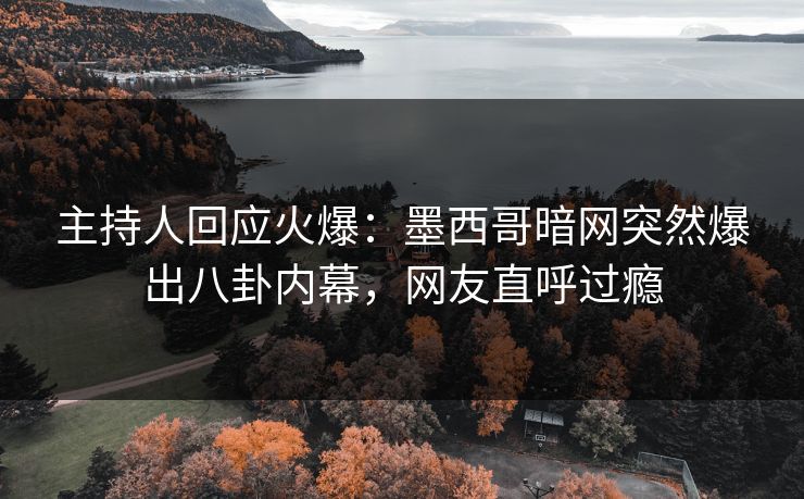 主持人回应火爆：墨西哥暗网突然爆出八卦内幕，网友直呼过瘾