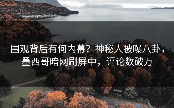 围观背后有何内幕？神秘人被曝八卦，墨西哥暗网刷屏中，评论数破万