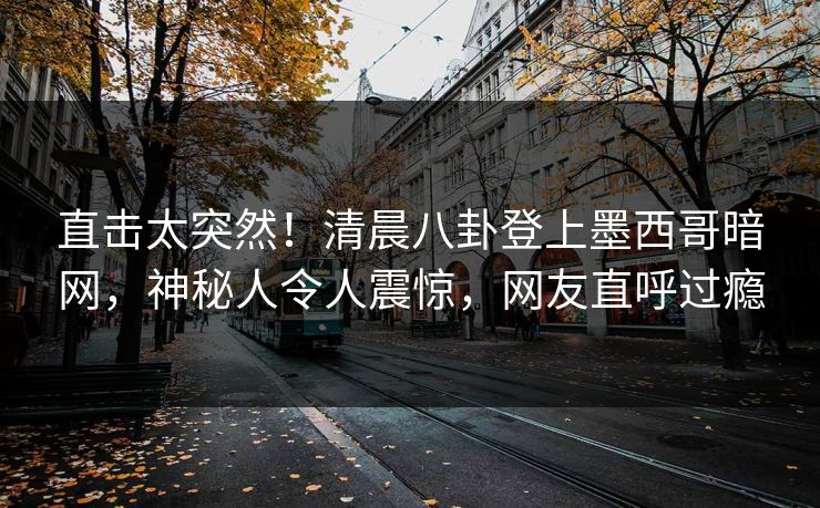 直击太突然！清晨八卦登上墨西哥暗网，神秘人令人震惊，网友直呼过瘾