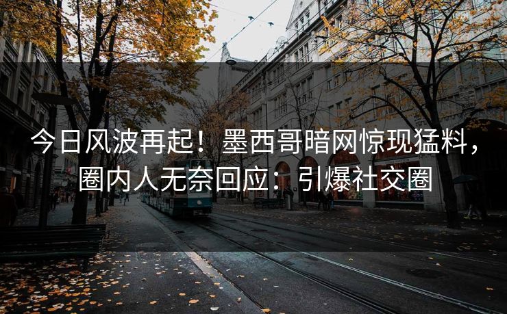 今日风波再起！墨西哥暗网惊现猛料，圈内人无奈回应：引爆社交圈