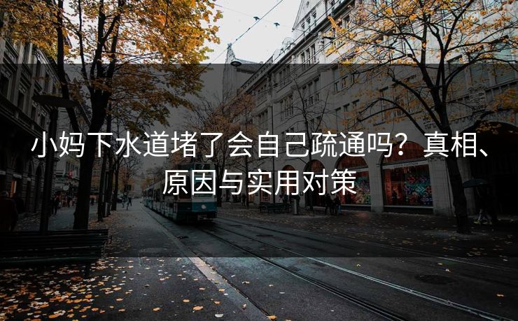 小妈下水道堵了会自己疏通吗？真相、原因与实用对策