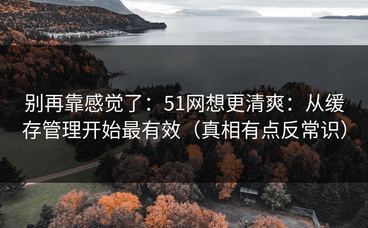别再靠感觉了：51网想更清爽：从缓存管理开始最有效（真相有点反常识）