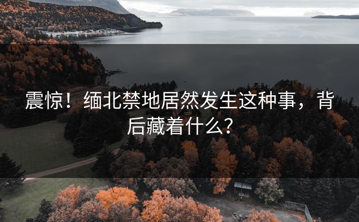 震惊！缅北禁地居然发生这种事，背后藏着什么？